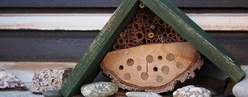 een bijenhotel