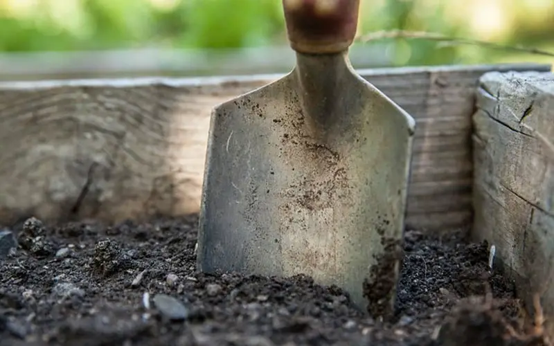 Welke grondsoort heb ik in mijn tuin?