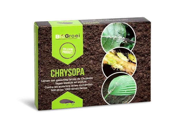 Chrysopa van BioGroei