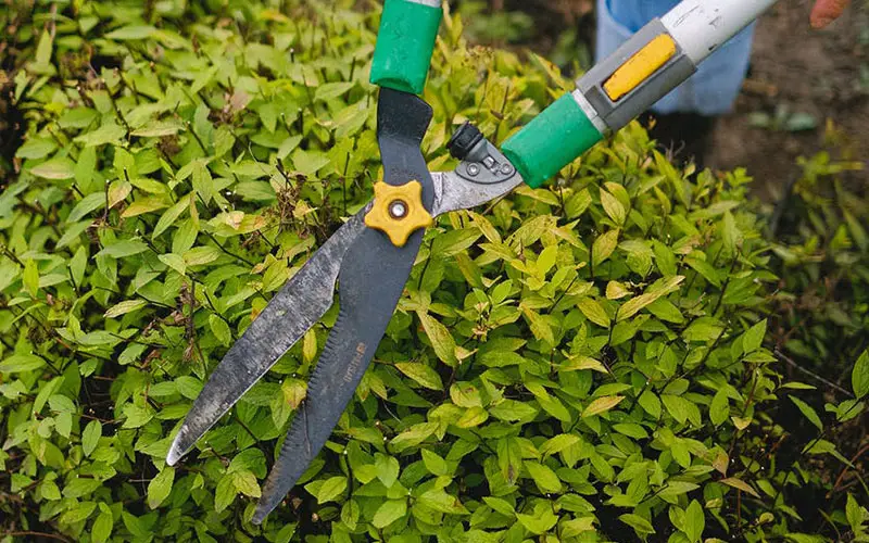 Tips voor de tuin wanneer je je huis wilt verkopen