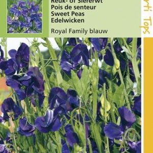 Hortitops Zaden - Lathyrus Odor. Royal Family Blauw