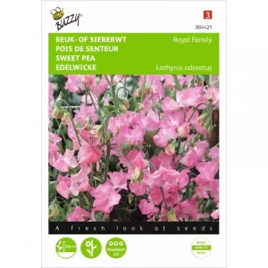 Lathyrus, Reuk- of siererwt Royal Family roze