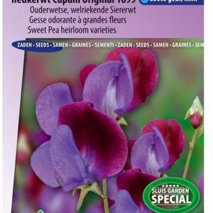 Sluis Garden - Reukerwt Cupani Original 1699 (lathyrus)