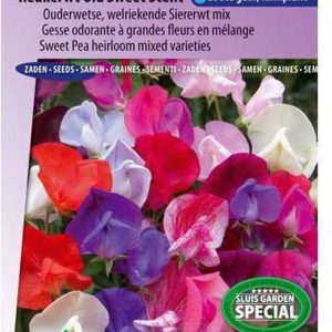 Sluis Garden - Reukerwt Old Sweet Scent Mix (Lathyrus)