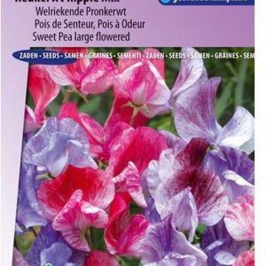 Sluis Garden - Reukerwt Ripple Formula mix (Lathyrus)