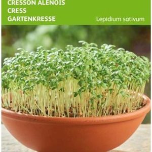 Buzzy Zaden - Tuinkers Gewone - Lepidium sativum