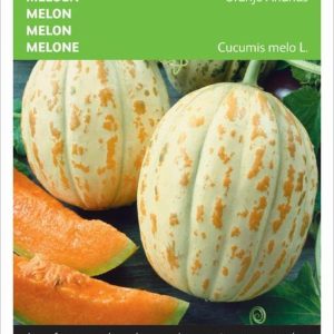 Buzzy zaden - Meloenen Oranje Ananas - Cucumis melo