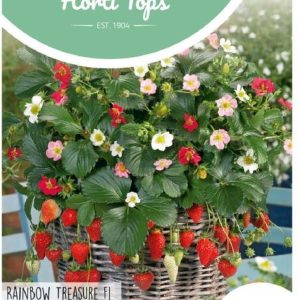 Hortitops - Aardbei Rainbow Treasure F1 (Fragaria)