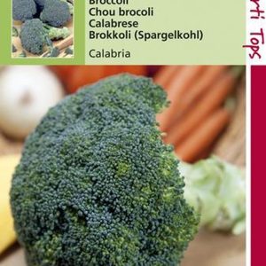 Hortitops Zaden - Broccoli (Calabrese) Calabria