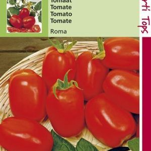 Hortitops Zaden - Tomaten Roma Vf