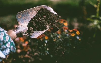 Dit is wat de grondsoort betekent voor jouw tuin