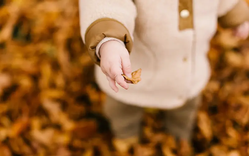 herfst in de tuin