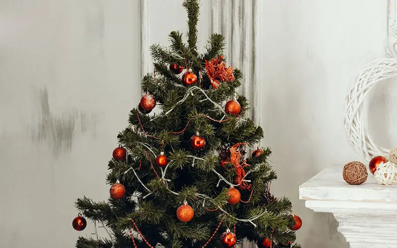 Wat is een mooie kerstboom?