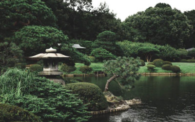 De Japanse Tuin, van ontwerp tot beplanting