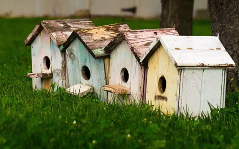 De leukste vogelhuisjes voor in je tuin