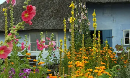 Engelse Tuin, romantische tuinstijl met verrassende doorkijkjes