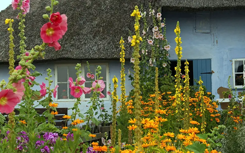 Engelse Tuin, romantische tuinstijl met verrassende doorkijkjes