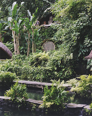 Natuurlijke vormen in de tropische tuin