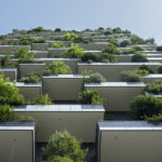 Hoe kies je de juiste balkonplanten?