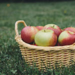Appels geplukt? 19 appelrecepten en andere ideeën voor jouw appels