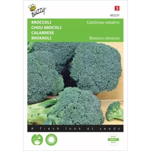 Broccoli Calabrese natalino, groen
