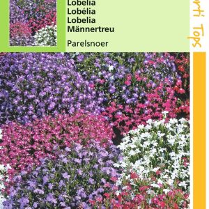 Lobelia Erinus Comp. Parelsnoer Gem. - Hortitops