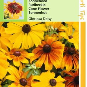 Rudbeckia Hirta Gloriosa Daisy Gemengd - Hortitops