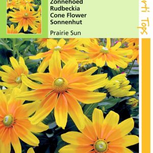 Rudbeckia Hirta Prairie Sun - Hortitops