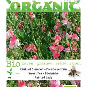Organic Lathyrus odoratus Painted Lady (Skal 14725) Tuinplus - Buzzy
