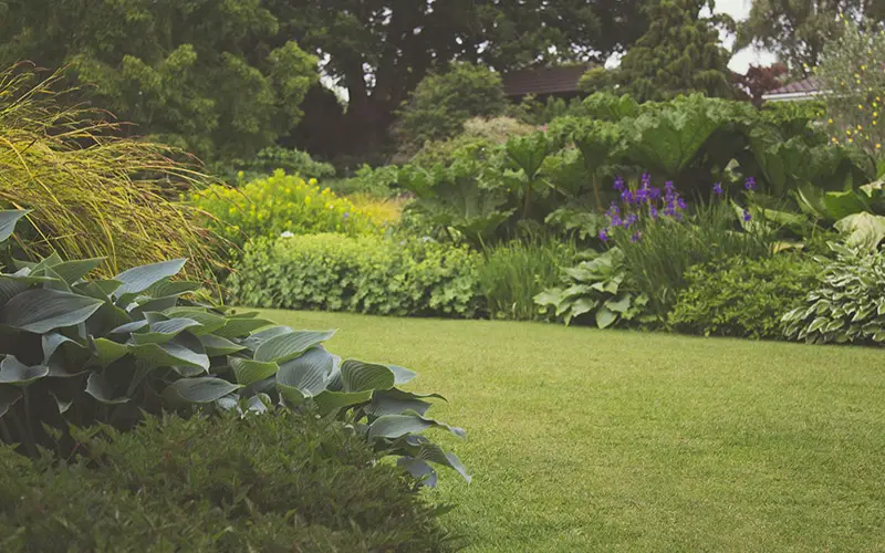 4 tips voor een visueel aantrekkelijke tuin