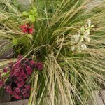 Borderplanten – structuur, rust en ritme in je tuin